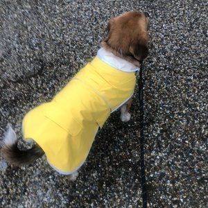 Lands End Dog Rain Coat (M)